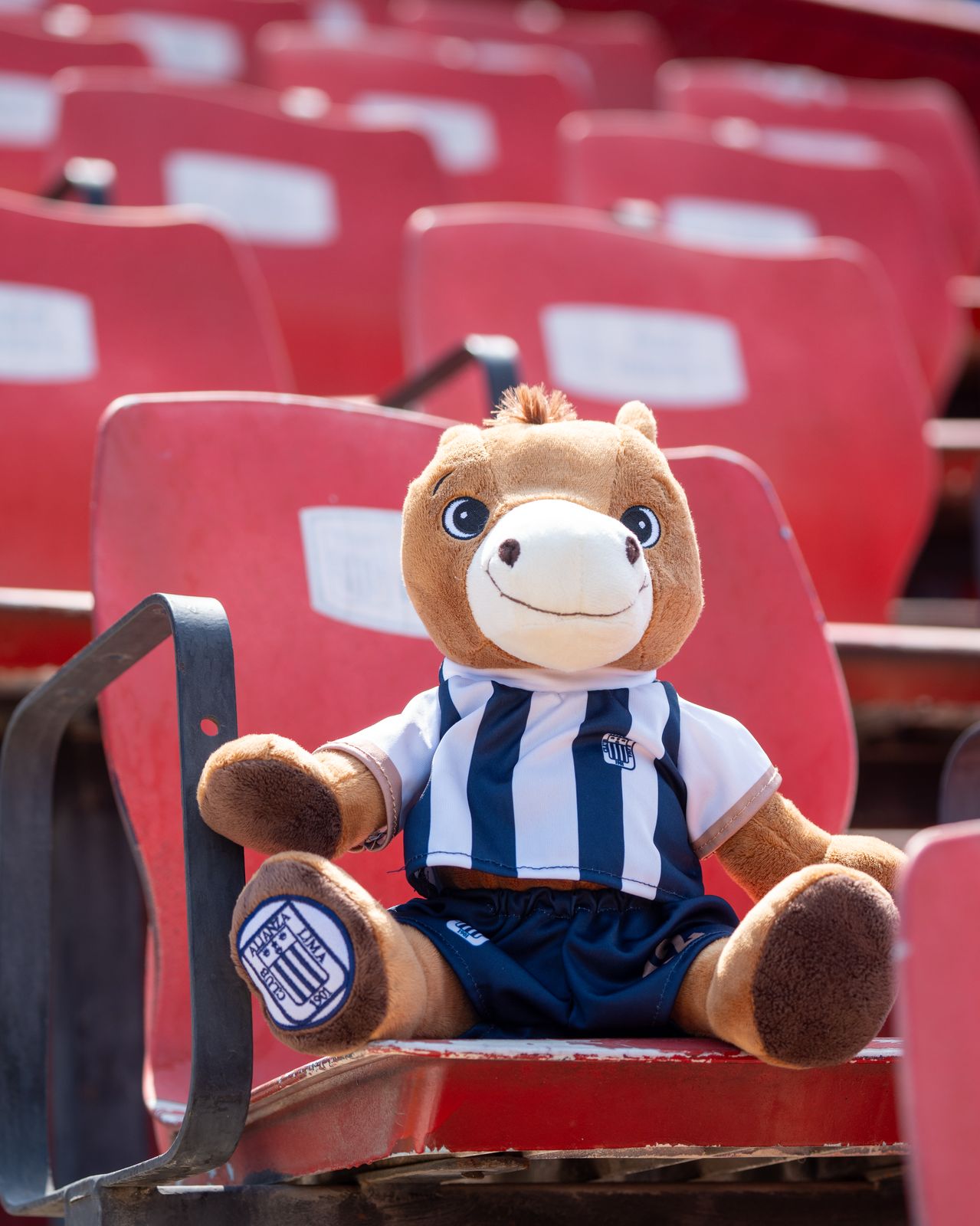 Peluche Potrillo - Alianza Lima (PAL1)