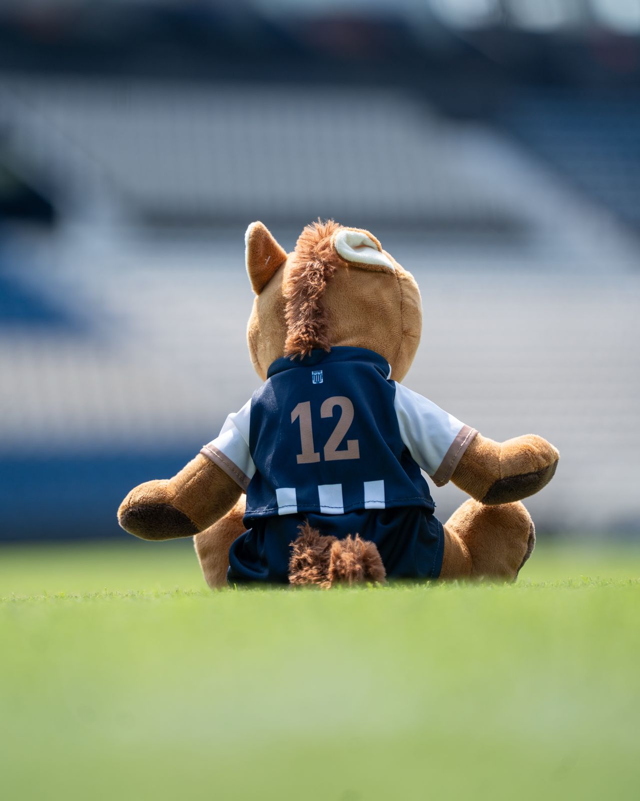Peluche Potrillo - Alianza Lima (PAL1)