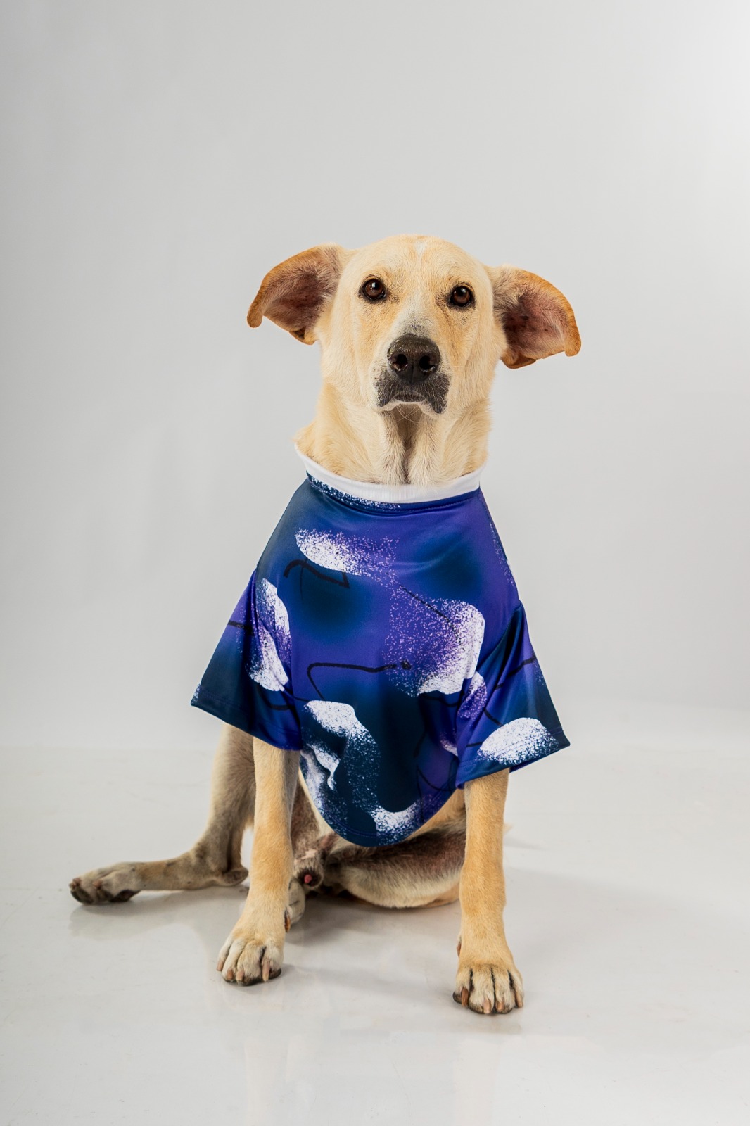 CAMISETA DE PREPARTIDO 2025 PARA MASCOTA