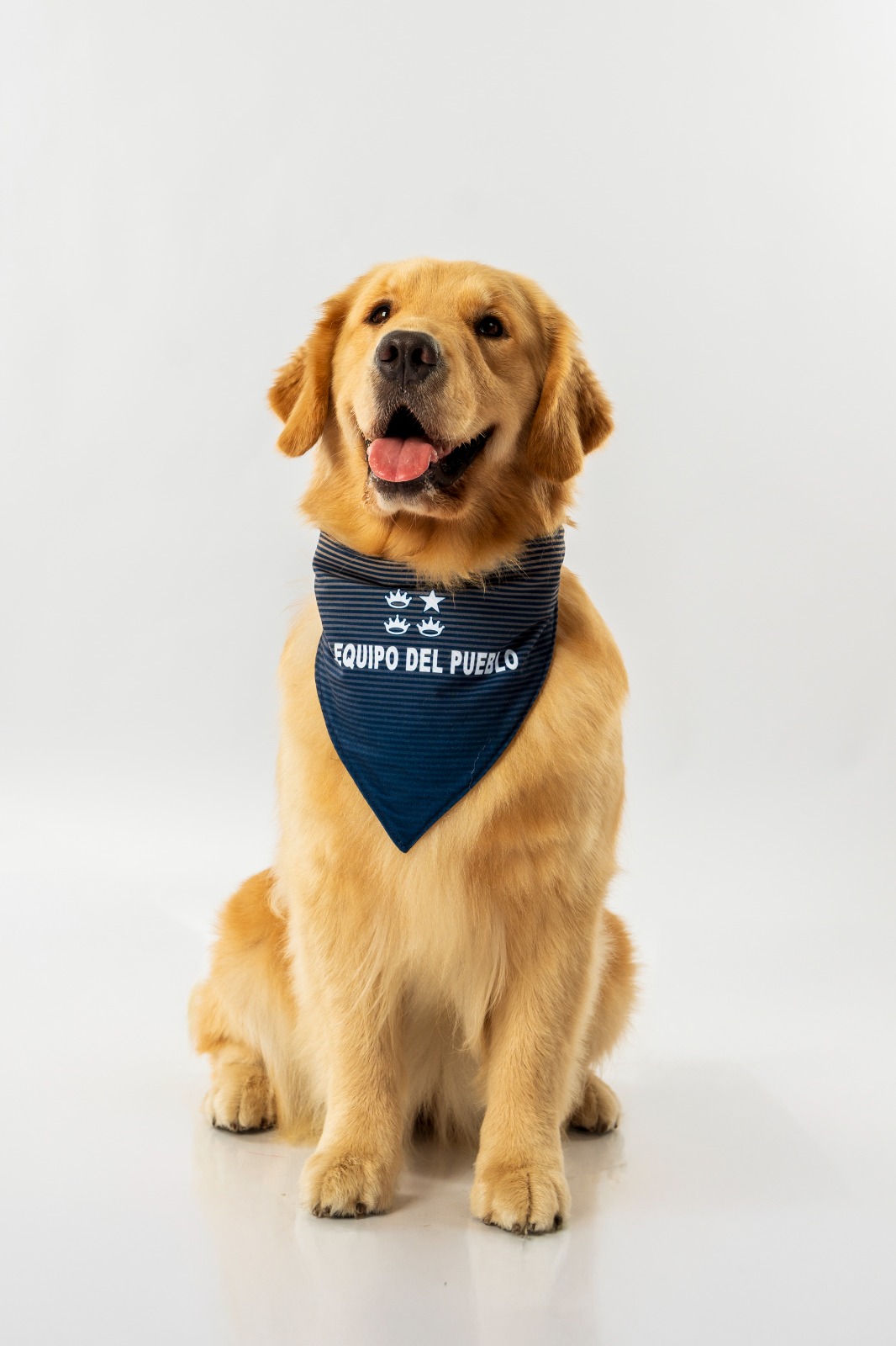 BANDANA OFICIAL 2025 - MASCOTAS