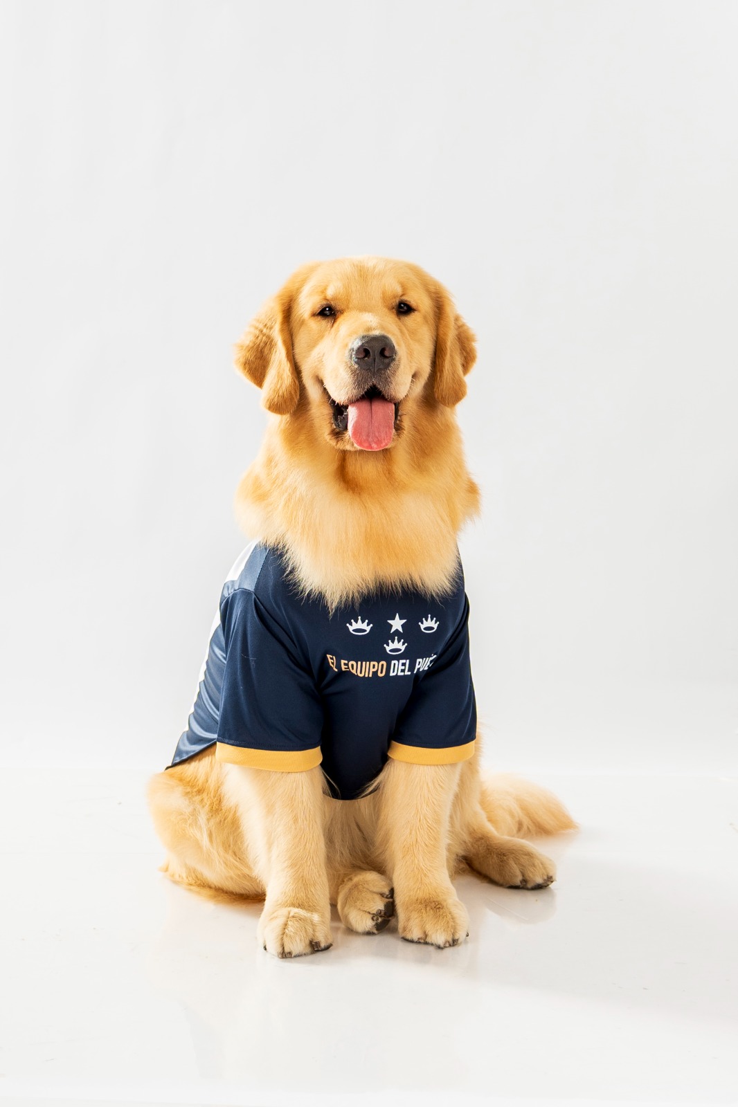 CAMISETA BLANQUIAZUL 2025 PARA MASCOTA