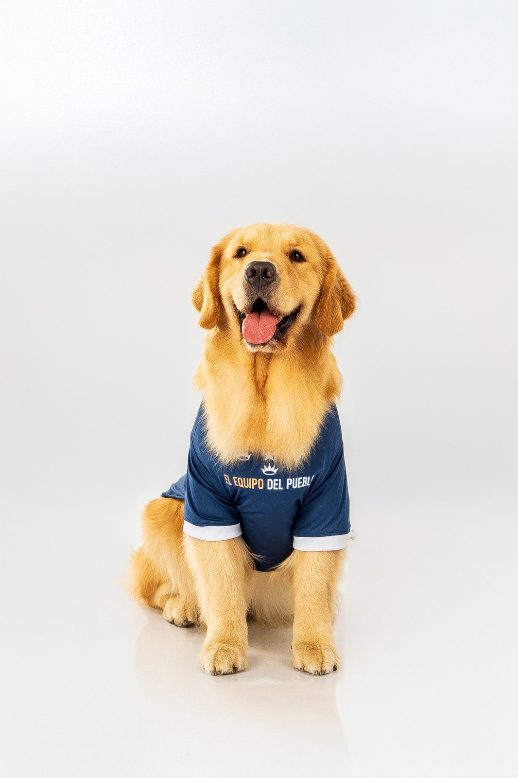 CAMISETA ALTERNA 2025 PARA MASCOTAS