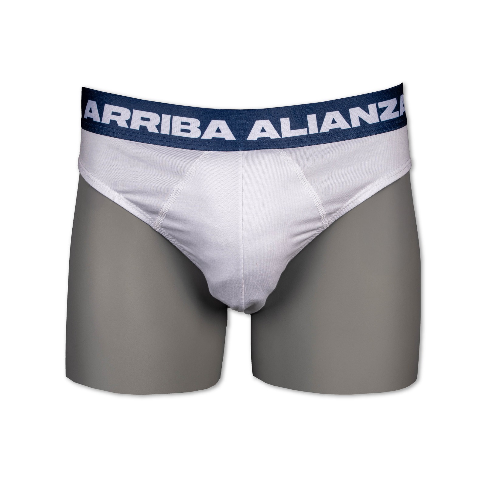 BIKINI BOSTON PARA HOMBRE - PACK 3