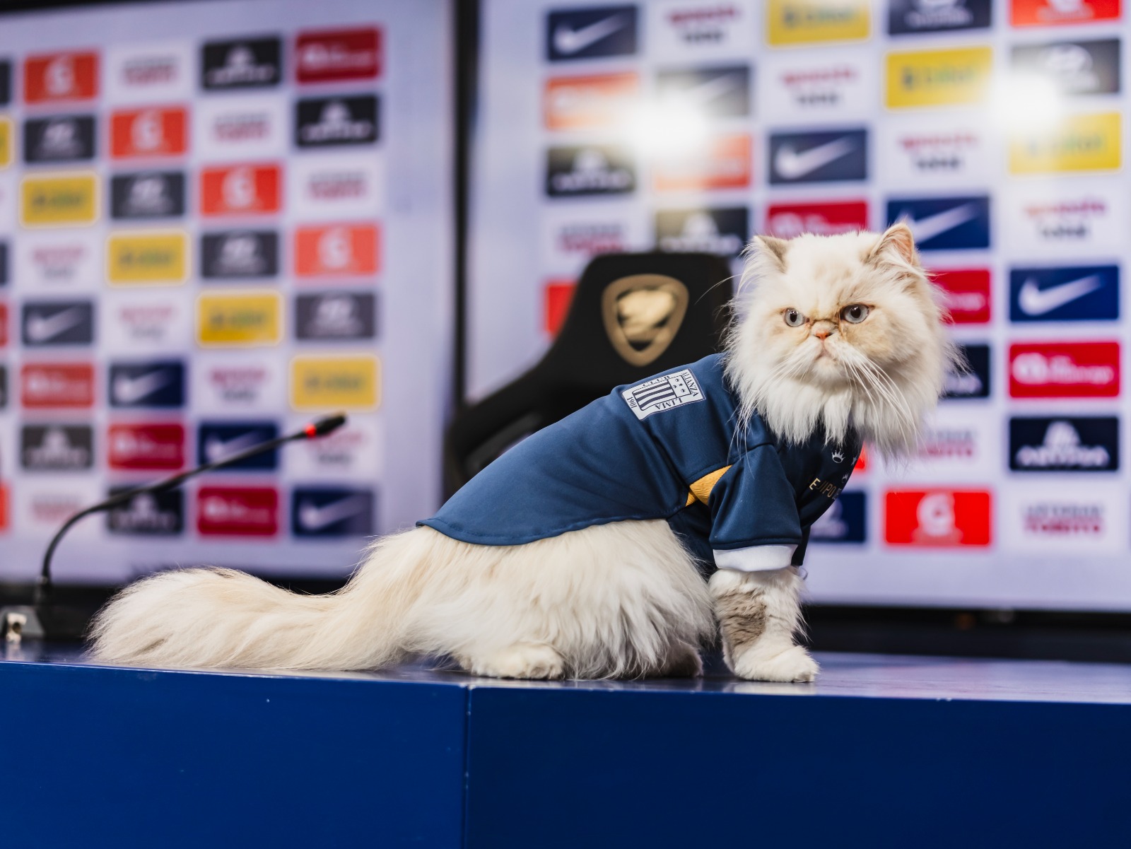 CAMISETA ALTERNA 2025 PARA MASCOTAS