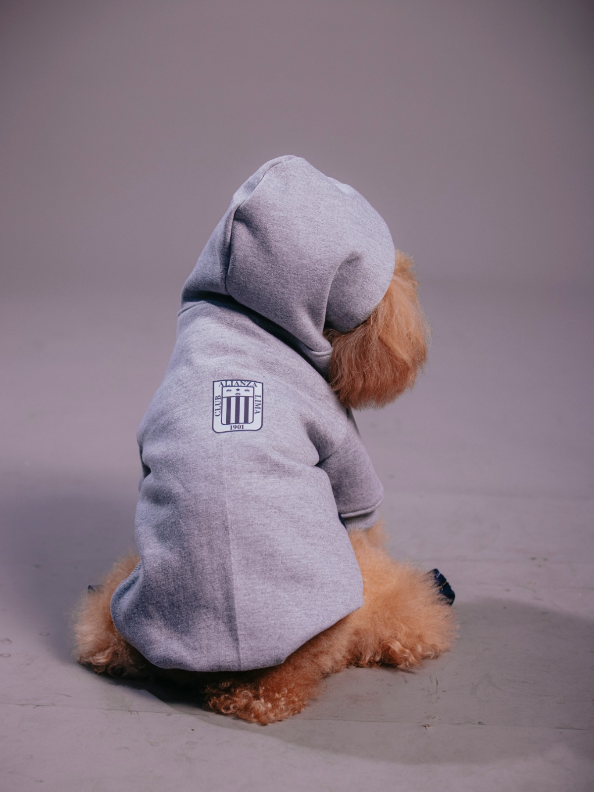 Polera Gris de mascota