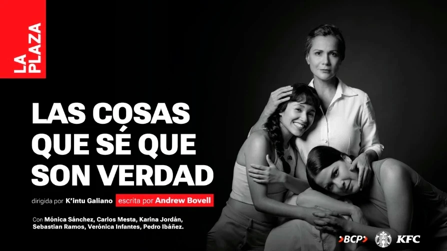 Afiche de Las cosas que sé que son verdad