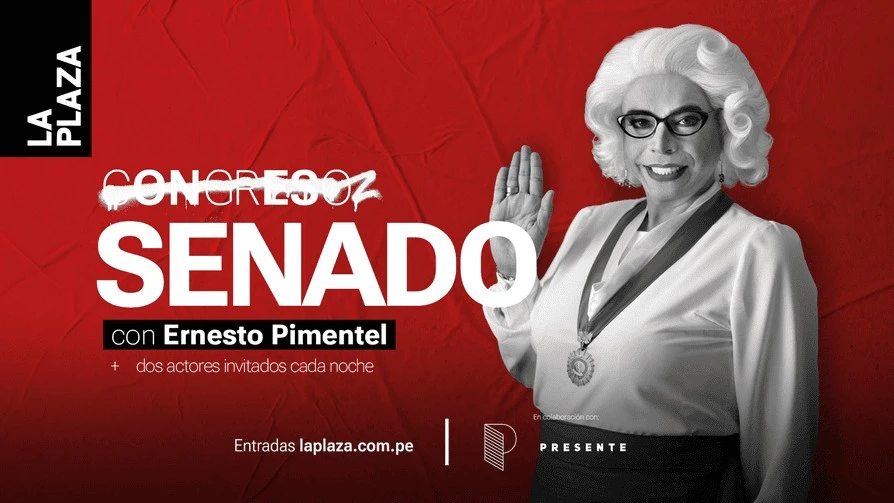 Afiche de Senado