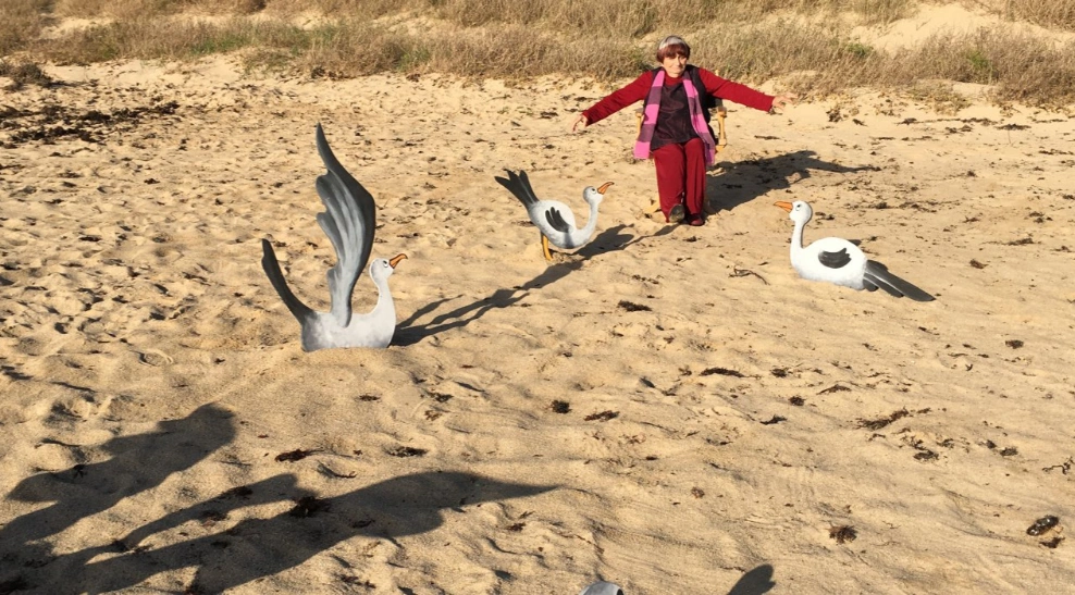 CineArt: Varda por Agnes