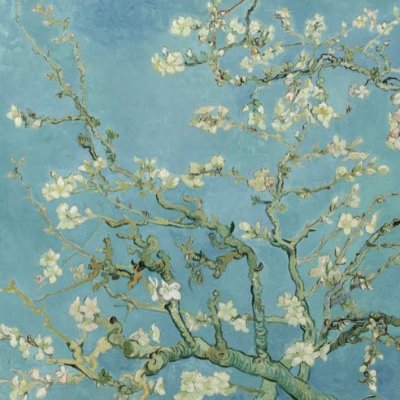 joinnus
