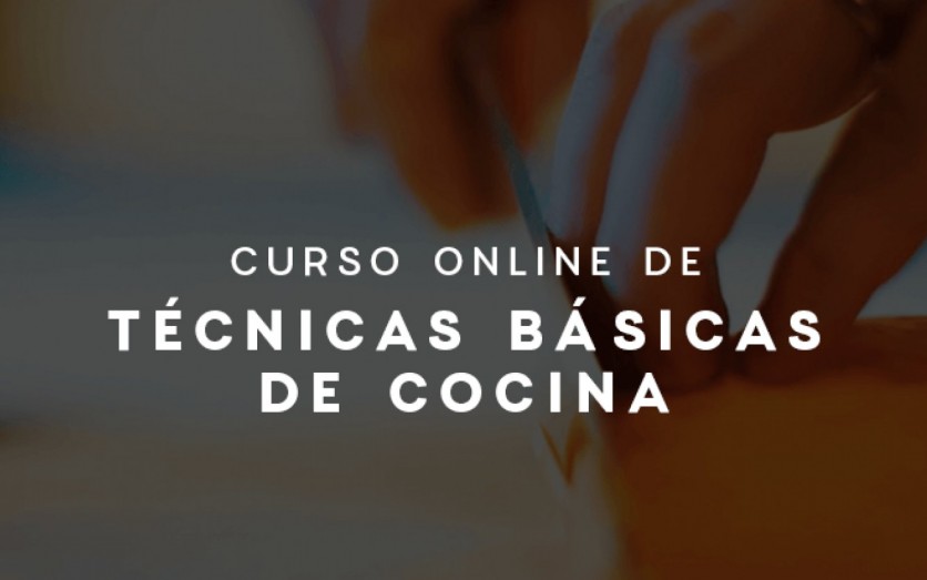 Técnicas Básicas de Cocina