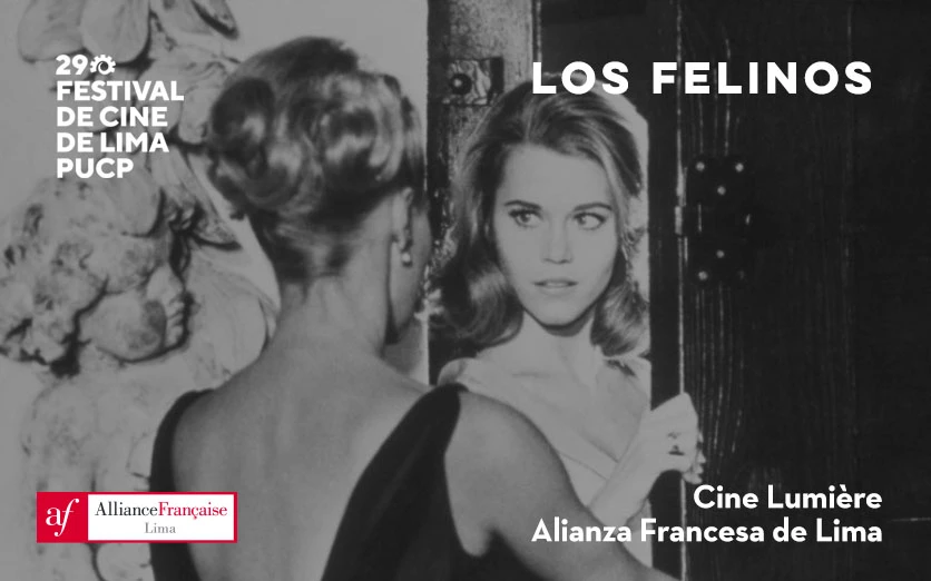 29 FCL: Los Felinos