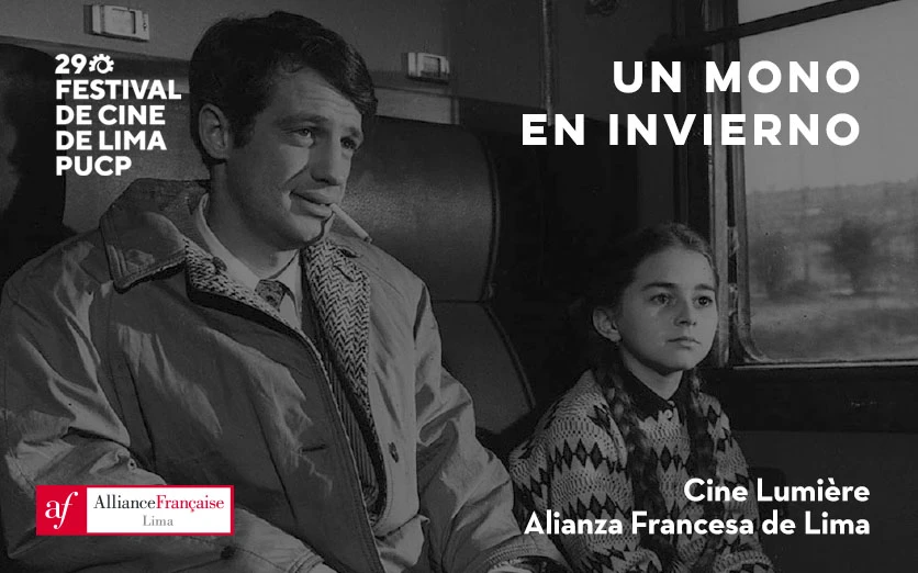 29 FCL: Un mono en invierno