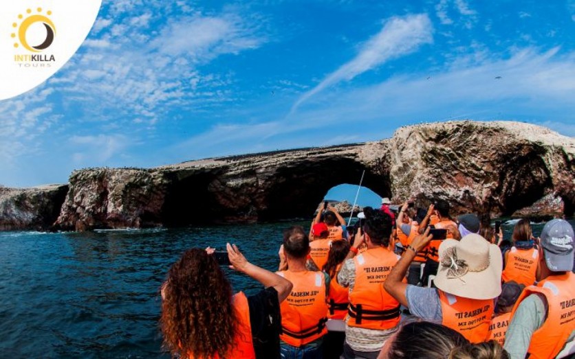 ¡Salidas Diarias a Paracas! Islas Ballestas, tubulares y más