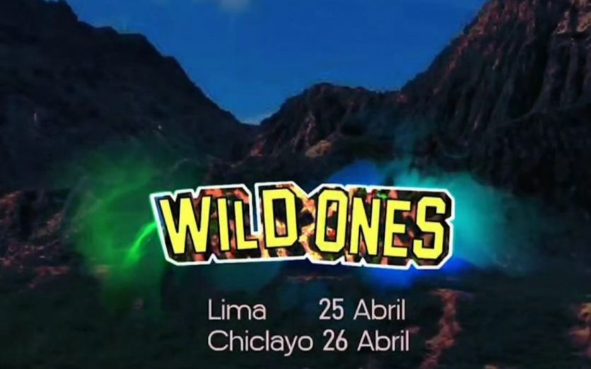 WILD ONES
