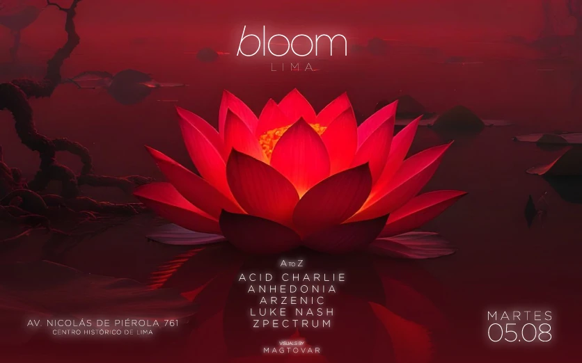 BLOOM 05.08