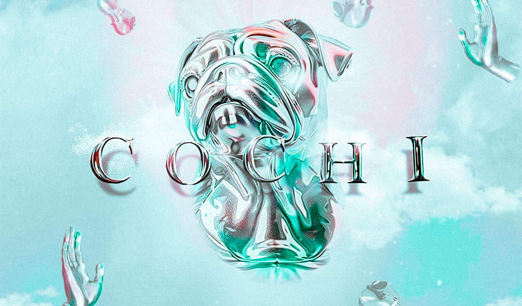 cochinola Blog Joinnus